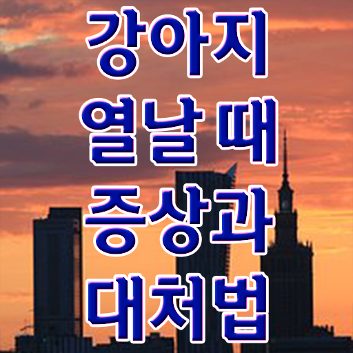  강아지열날때 처치방법 알려드립니다 !