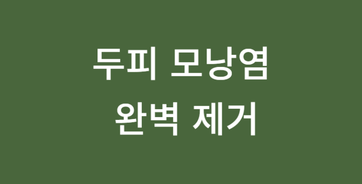  두피모낭염 샴푸 하나로 완벽