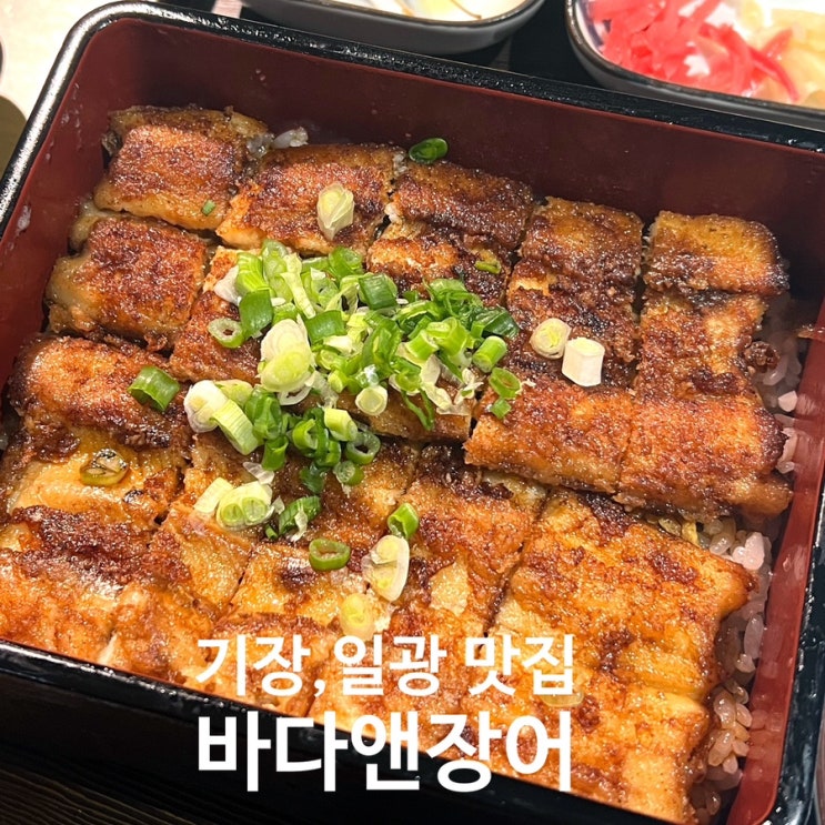  [부산] 기장회식하기 좋은 장어맛집 일광 바다앤장어