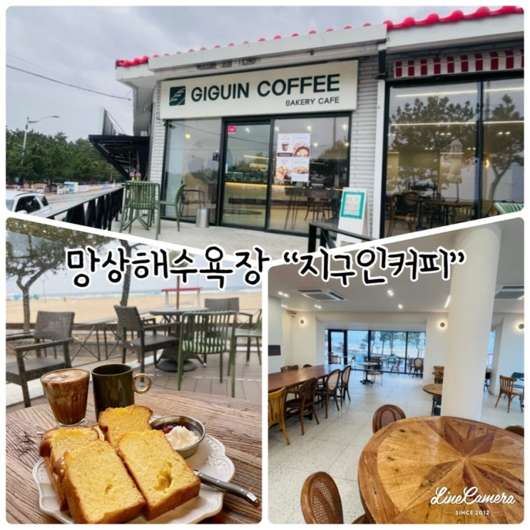  동해바다뷰를 감상할 수 있는 망상해수욕장 카페 "지구인커피"