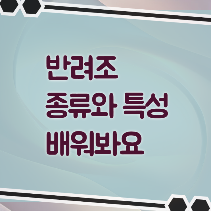  반려조관리사 자격증 시험 알려드릴게요 !!! 한국자격검정원