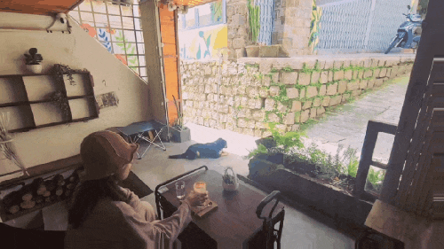  혼여) 베트남 달랏여행 : 어머, 이건 꼭! Kem Bo & Cafe 편