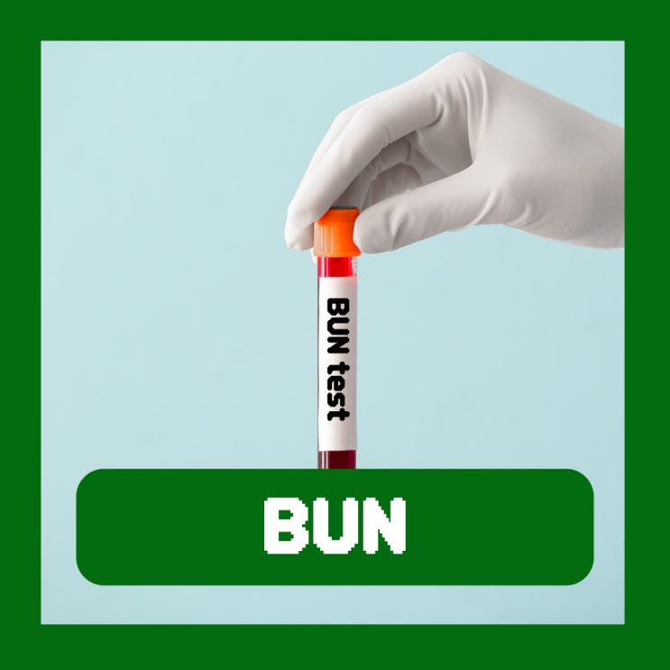  BUN 수치 높으면 혈중요소질소 수치 낮으면 정상수치