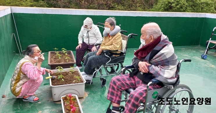  인천 남동 노인요양원 봄맞이 야외 프로그램 정원 산책