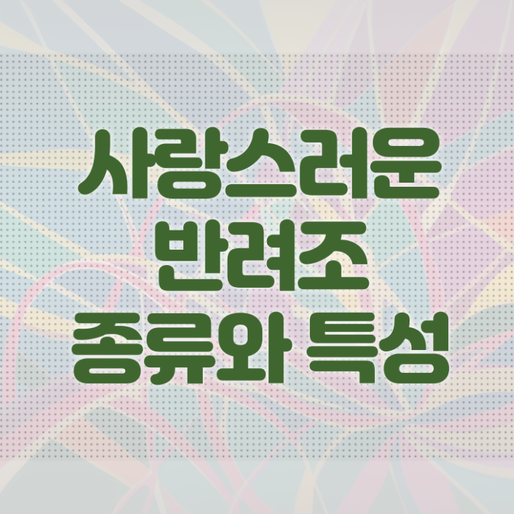 반려조관리사 자격증 취득 후기 궁금증 해결 ~ 한국자격검정원