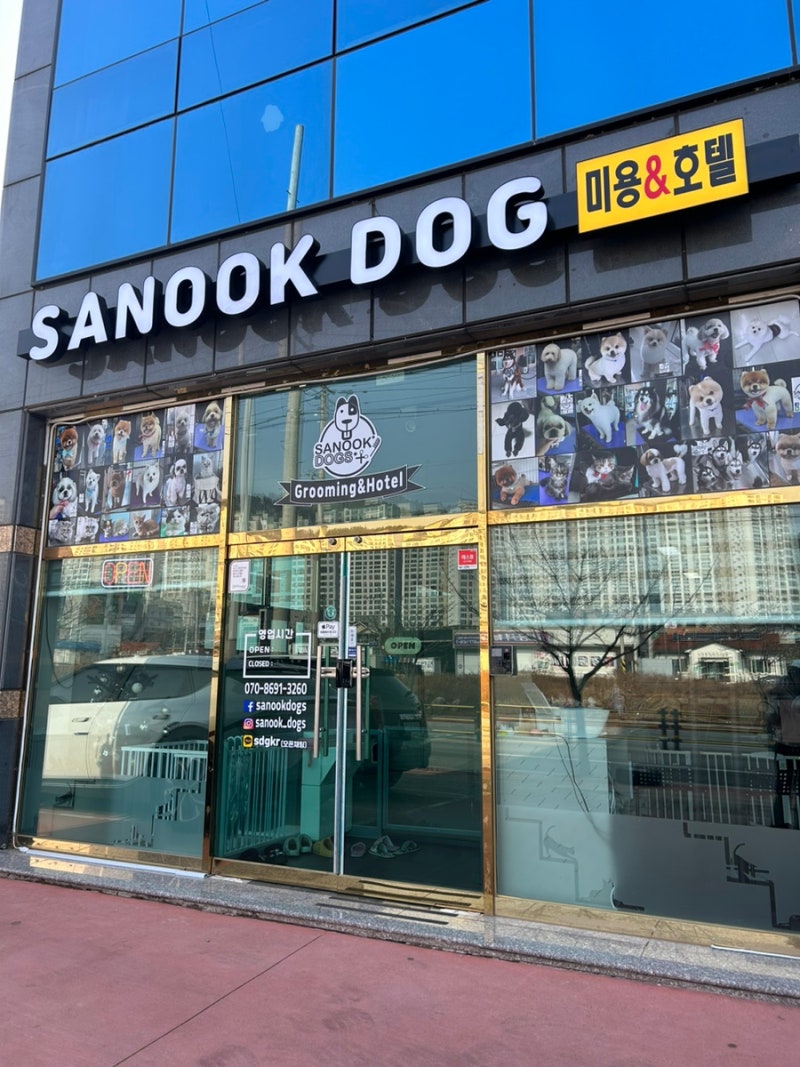 사진 6