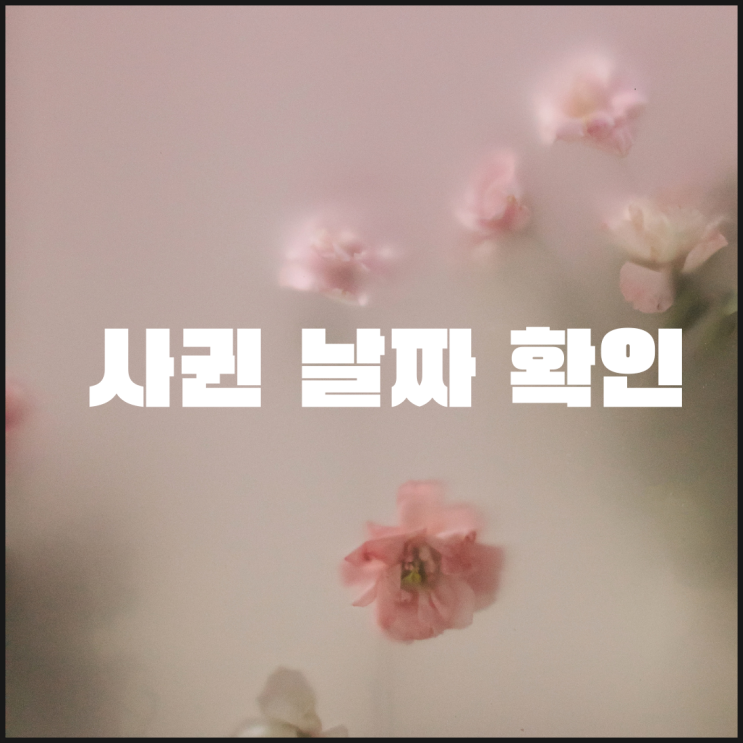  사귄 날짜 계산 앱 하나로 종결