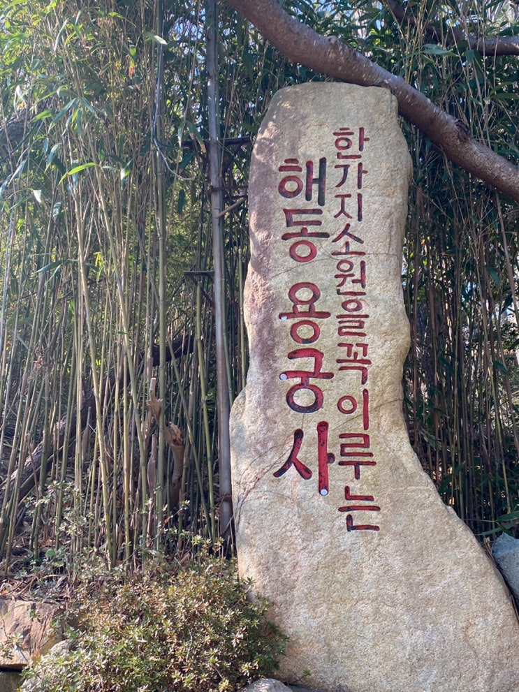  부산 가볼만한곳 :: 기장 해동 용궁사 (feat.주차, 간식거리, 소원초, 삼재소멸초)