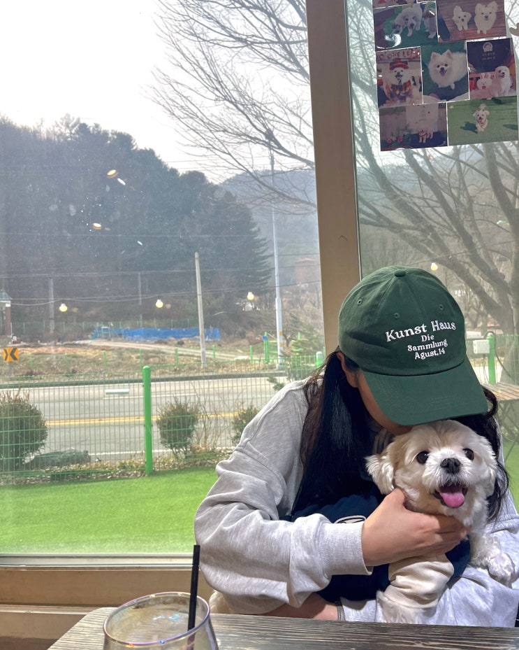  서울근교 용인 애견동반 식당, 애견동반 바베큐, 애견카페