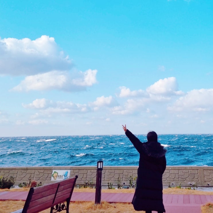  울릉도 한달살기 숙소 가성비 울릉도 숙박 국민여가캠핑장 펜션동 생활관 후기