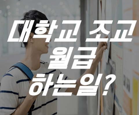  대학교 조교 월급 연봉 및 하는일