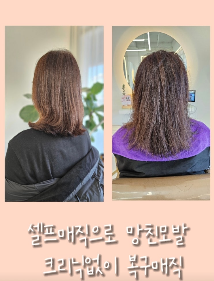 동탄호수공원 살롱드봄 손상모발전문점 복구매직전문점 망친모발전문점