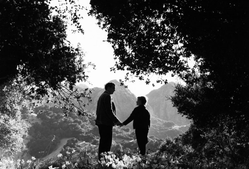 ׵  츮 ƹ  ٸ ʴ!, ȭ <  Ǫ, How Green Was My Valley>(1941)!  : ̹ α