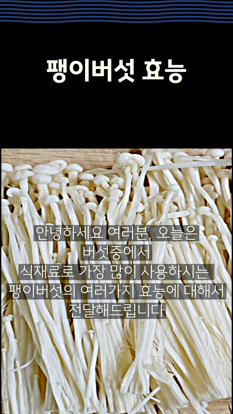  팽이버섯의 효능에 대해서 전달해드립니다