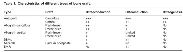  3-22 수술 중 단계, Allograft 사용은 mechanical, structural support나 continuity를 유지시키는데에만 중점을 두어라!