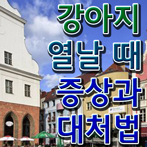  강아지열날때 대처방법 핵심 정보 ?!