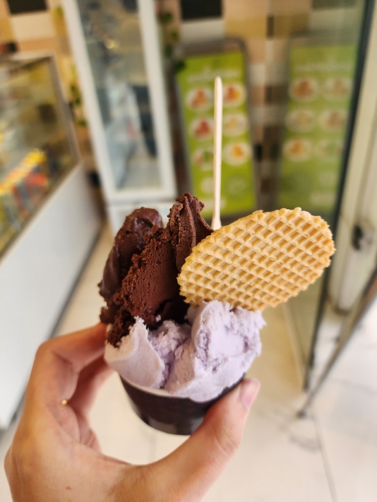  [바르셀로네타 맛집] MUST GELATO 머스트 젤라또