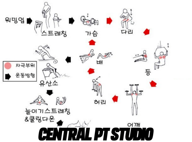  무분할루틴 헬린이운동 송도피티가 알려드려요