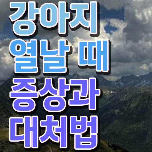  강아지 열날때 증상 처치방법 필수 정보 여기에 ?