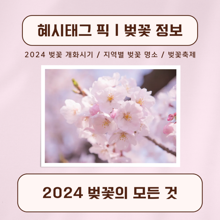 2024 벚꽃 개화시기 지역별 벚꽃명소 벚꽃축제 일정