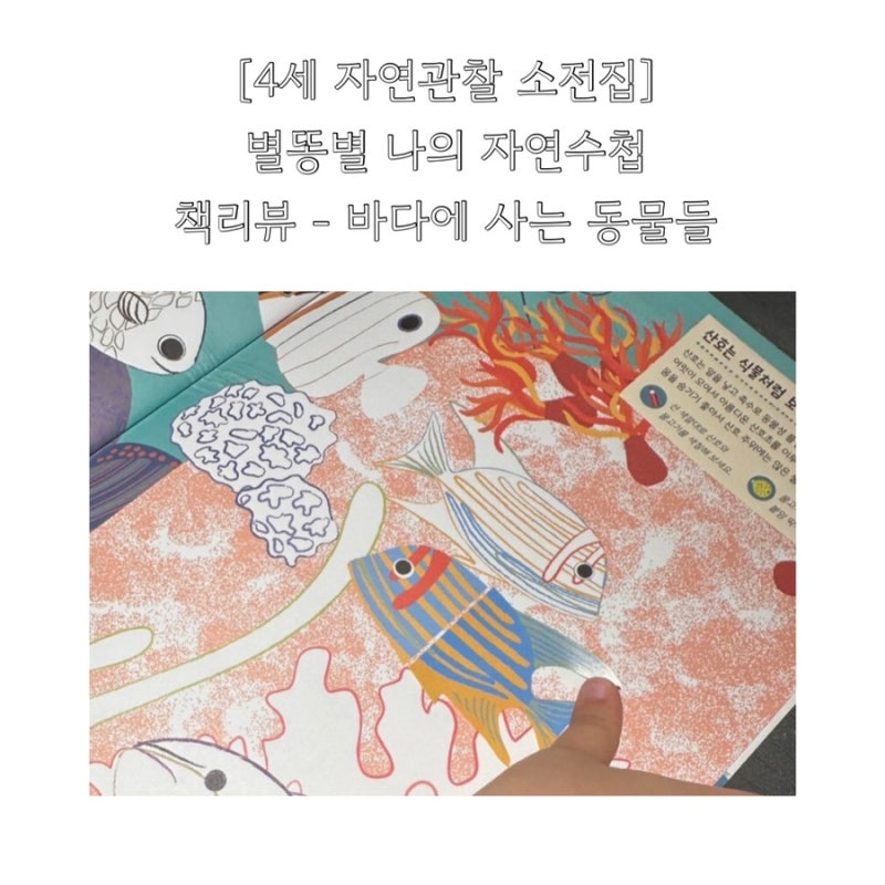 블로그 후기 사진