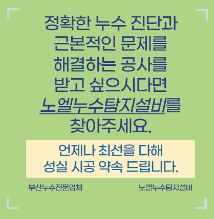  부산 내 누수 문제 해결, 누수 탐지 전문 업체를 찾아야 하는 이유