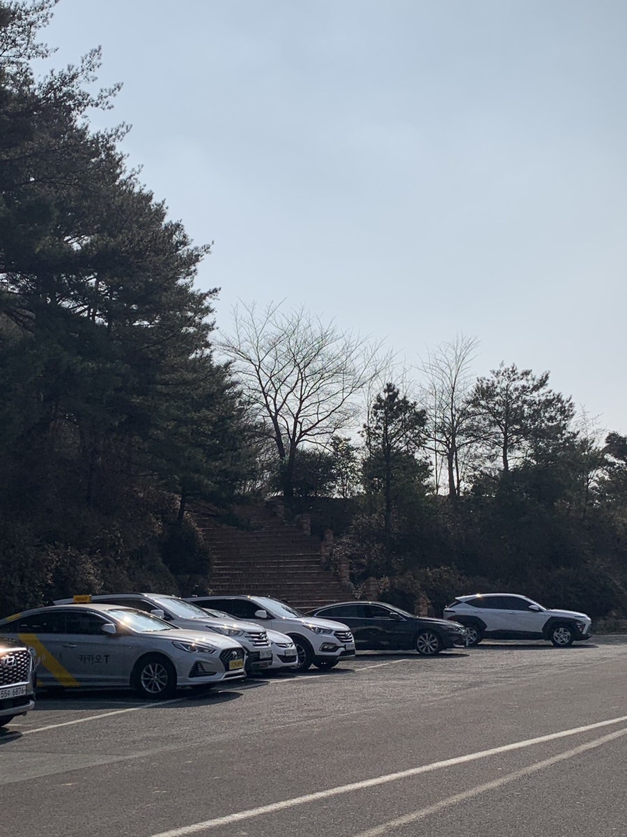 자수정 동굴나라 허브식물원 사진 1