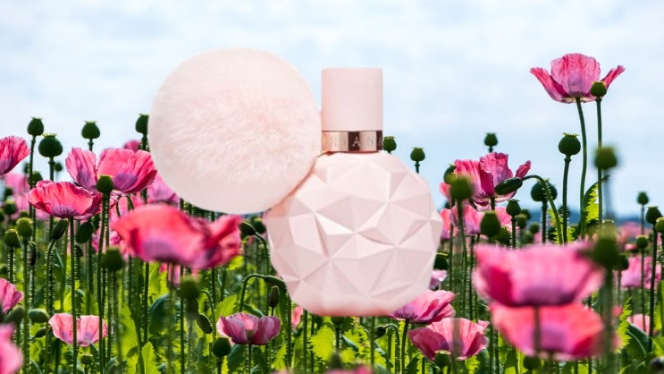  아리아나그란데 향수 스위트라이크캔디 EDP 30ML