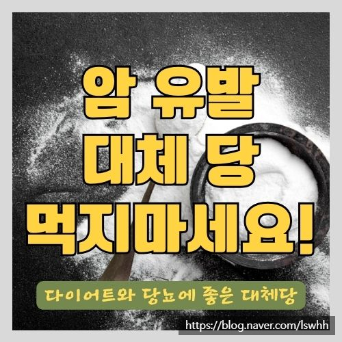  다이어트와 당뇨에 좋은 설탕 대신 먹을 수 있는 대체당의 종류와 부작용 - 스테비아, 에리스리톨, 아스파탐, 알룰로스, 자일리톨 등