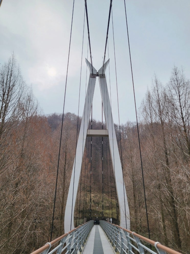  대전 아이랑 장태산 자연휴양림 코스 추천 (주차, 당나귀, 놀이터, 스카이타워, 출렁다리)