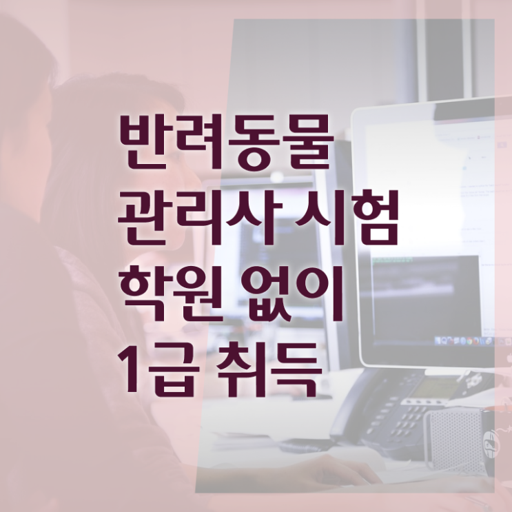  반려동물관리사 반려견행동분석 자격증 취득 필수 정보 수록 !!!