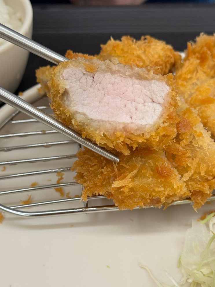  [안암] 고려대 돈까스 1티어 백호카츠