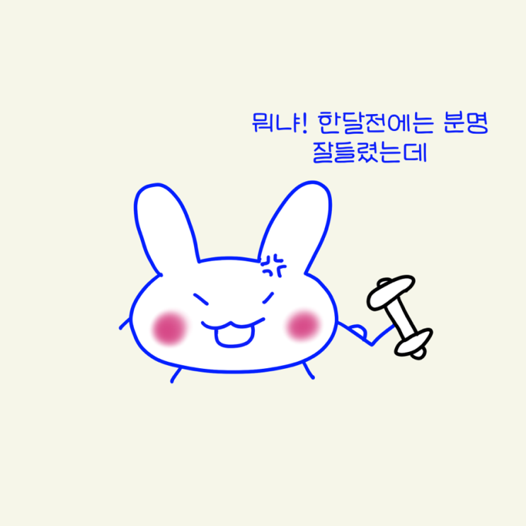  폴라의 3분할루틴 (3분할 운동 프로그램)