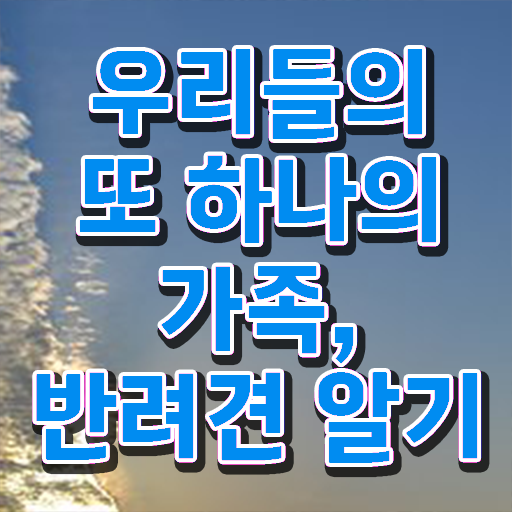  반려동물관리사 학원 취득 후기 정보꾸러미 ?!