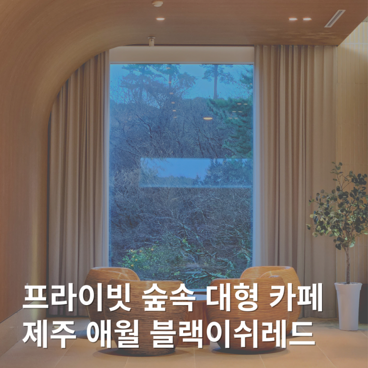  제주 애월 숲뷰 숲속 서쪽 대형카페 애견동반 블랙이쉬레드