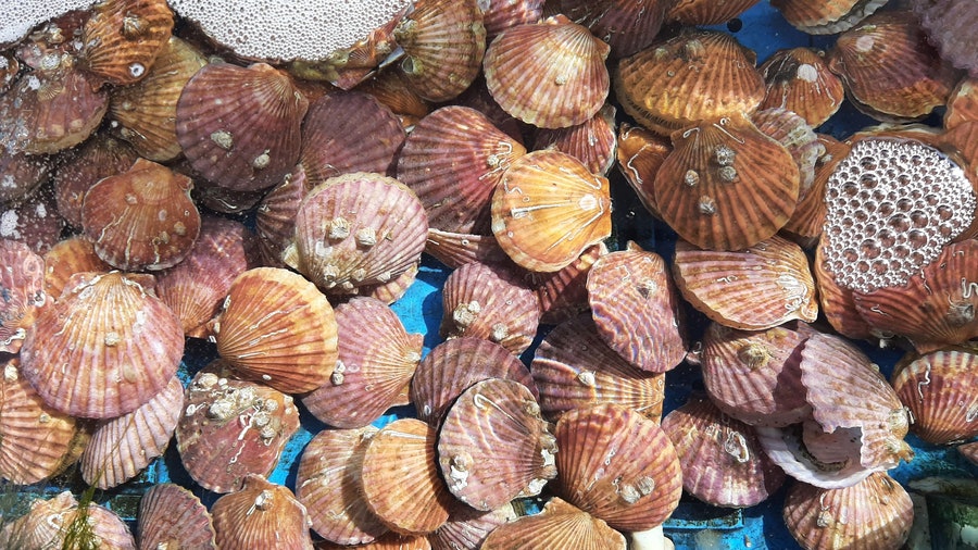 선창수산 사진 5