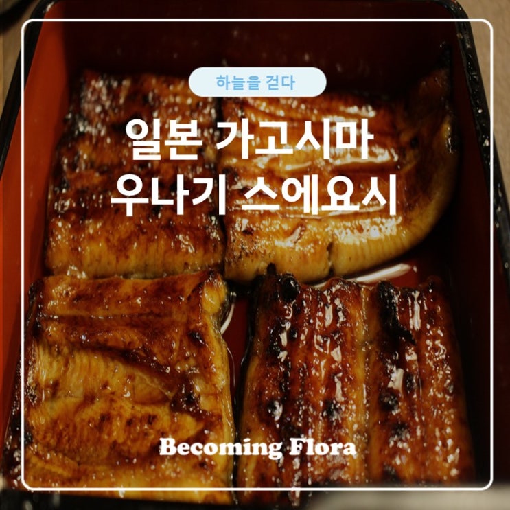  가고시마 장어 덮밥 우나기 스에요시