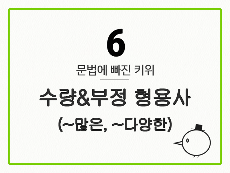  [영어 기초 문법] 형용사 #6 수량&부정 형용사(~많은, ~다양한)