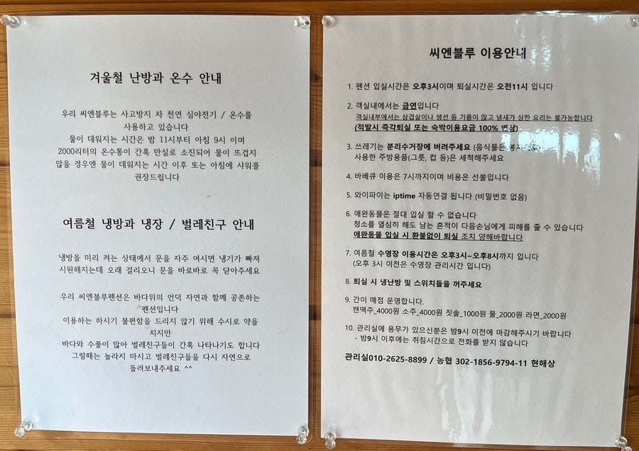 바다채 사진 4
