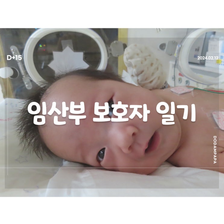 2024.02.12 임산부 보호자 일기 D+15일