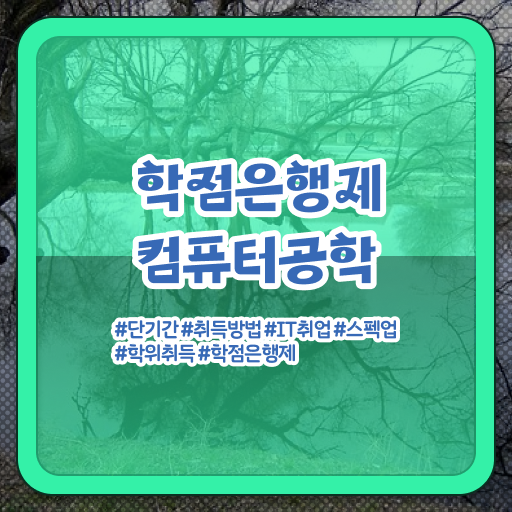  학은제 독학사 컴퓨터공학과 진로 여기부터 보고가세요 ?