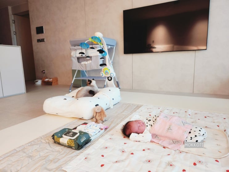  아기와 랙돌고양이의 주객전도(主客顚倒)