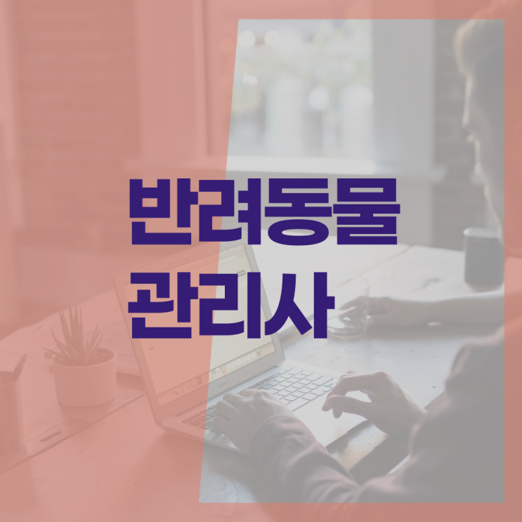  반려동물관리사 반려동물관리사1급학원 자격증 취득 여기서 확인하세요 !