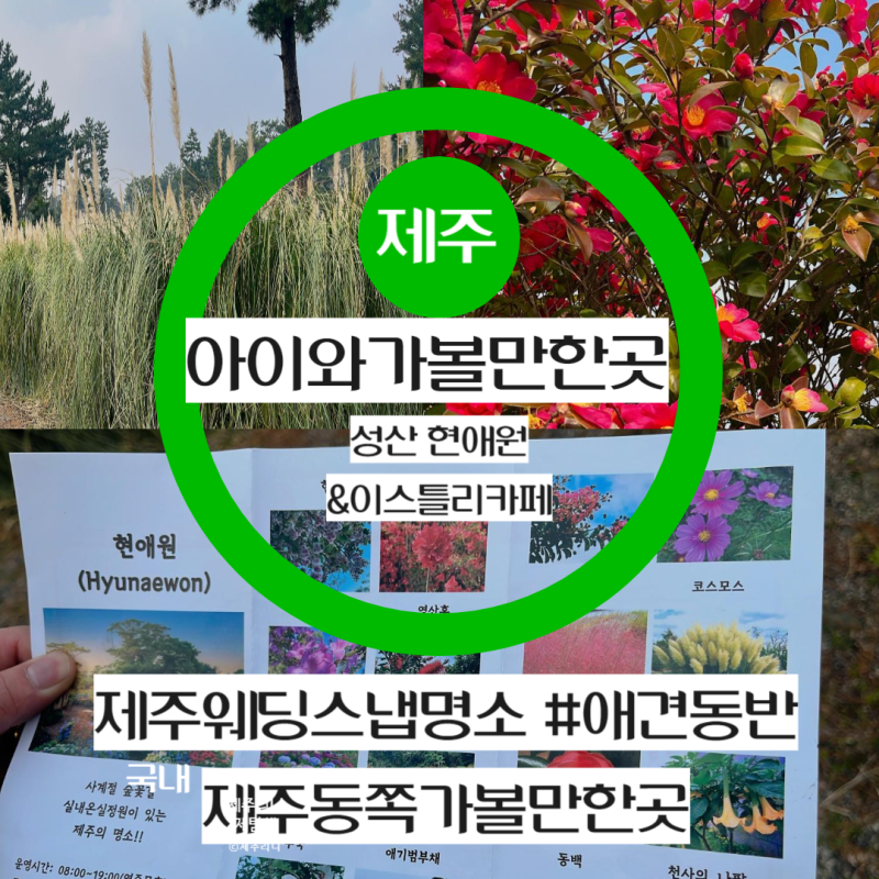강아지풀스냅