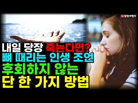 내일 당장 죽는다면? 여러분 무엇이 가장 하고 싶나요? 어느 대학교수의 뼈 때리는 인생 조언. 후회하지 않는 단 한 가지 방법