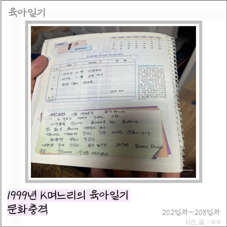  1999년 K며느리의 육아일기 문화충격