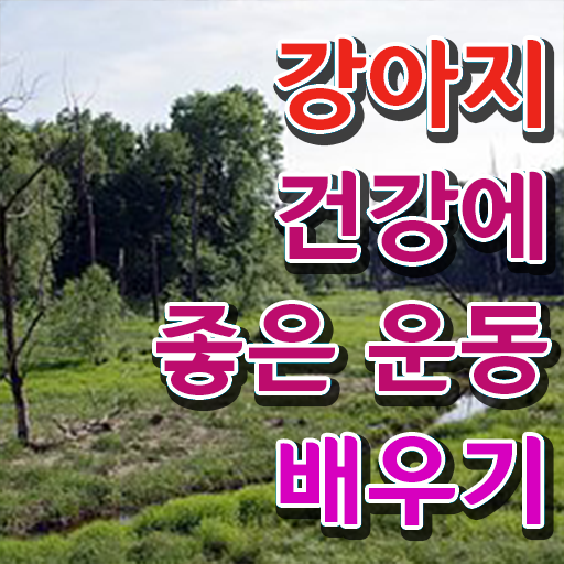  반려견운동지도사 자격증 무료강의 콕콕 짚어드립니다 ~