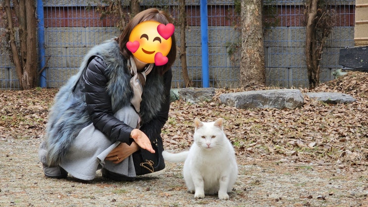  언니네 부부와 쉼터 가서 옥수 보고 왔다 : 유기묘옥수
