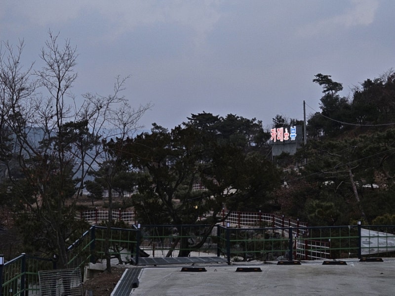 사진 6