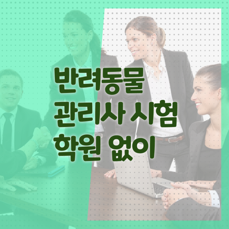  반려동물관리사 반려견 무료 과정 자격증 취득 필수 정보 여기에 .